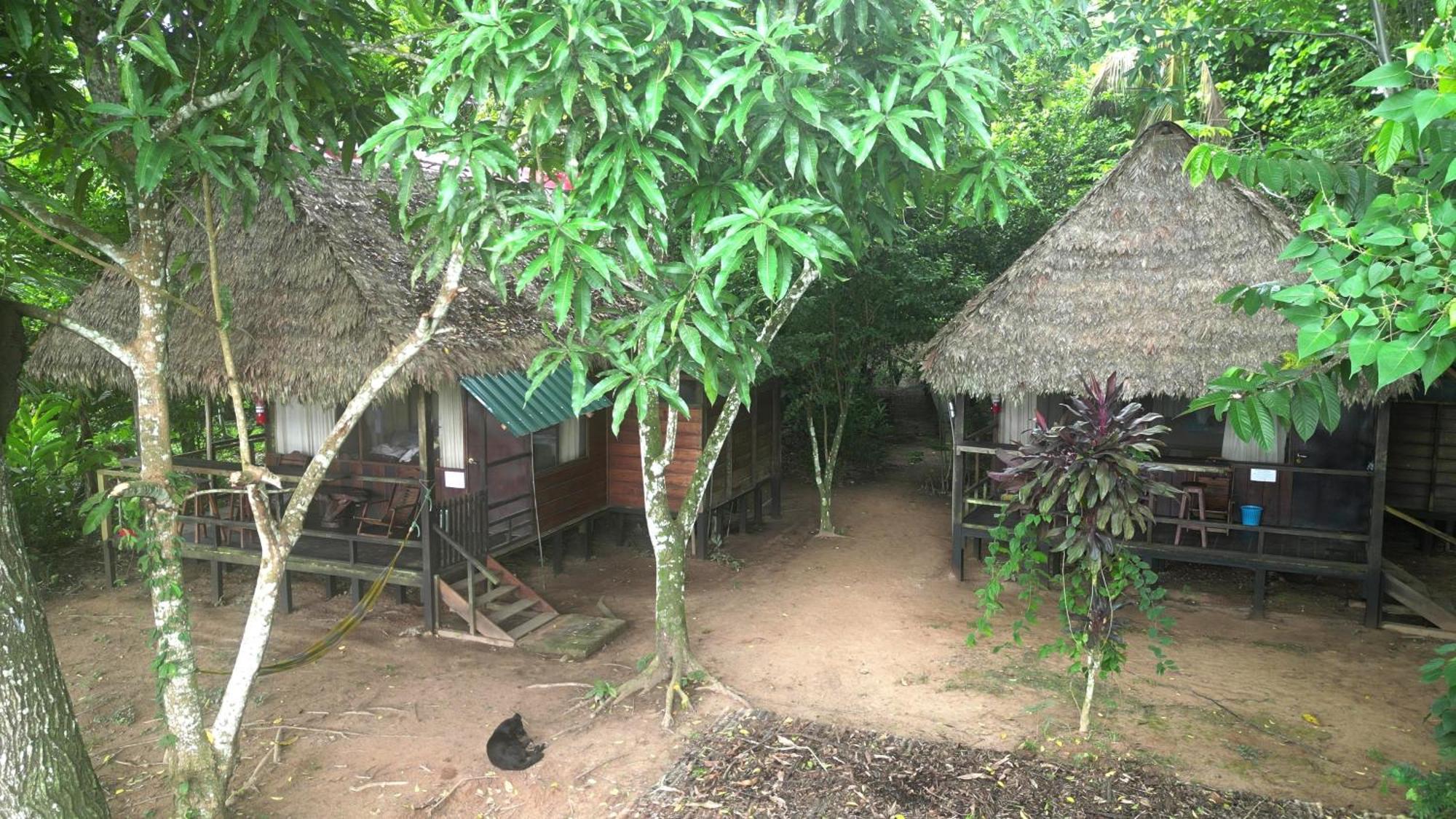 Tambopata River Puerto Maldonado Kültér fotó