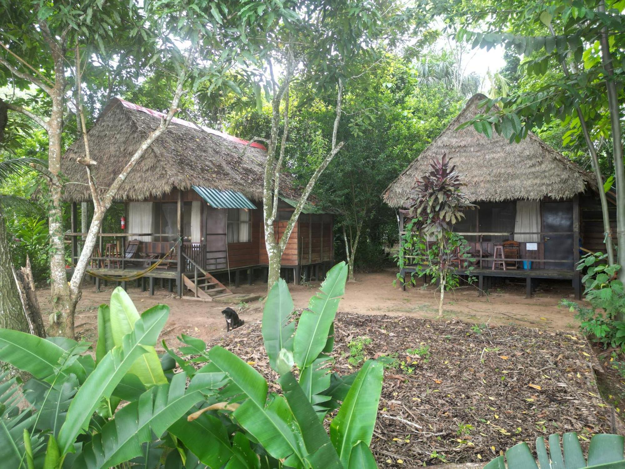 Tambopata River Puerto Maldonado Kültér fotó
