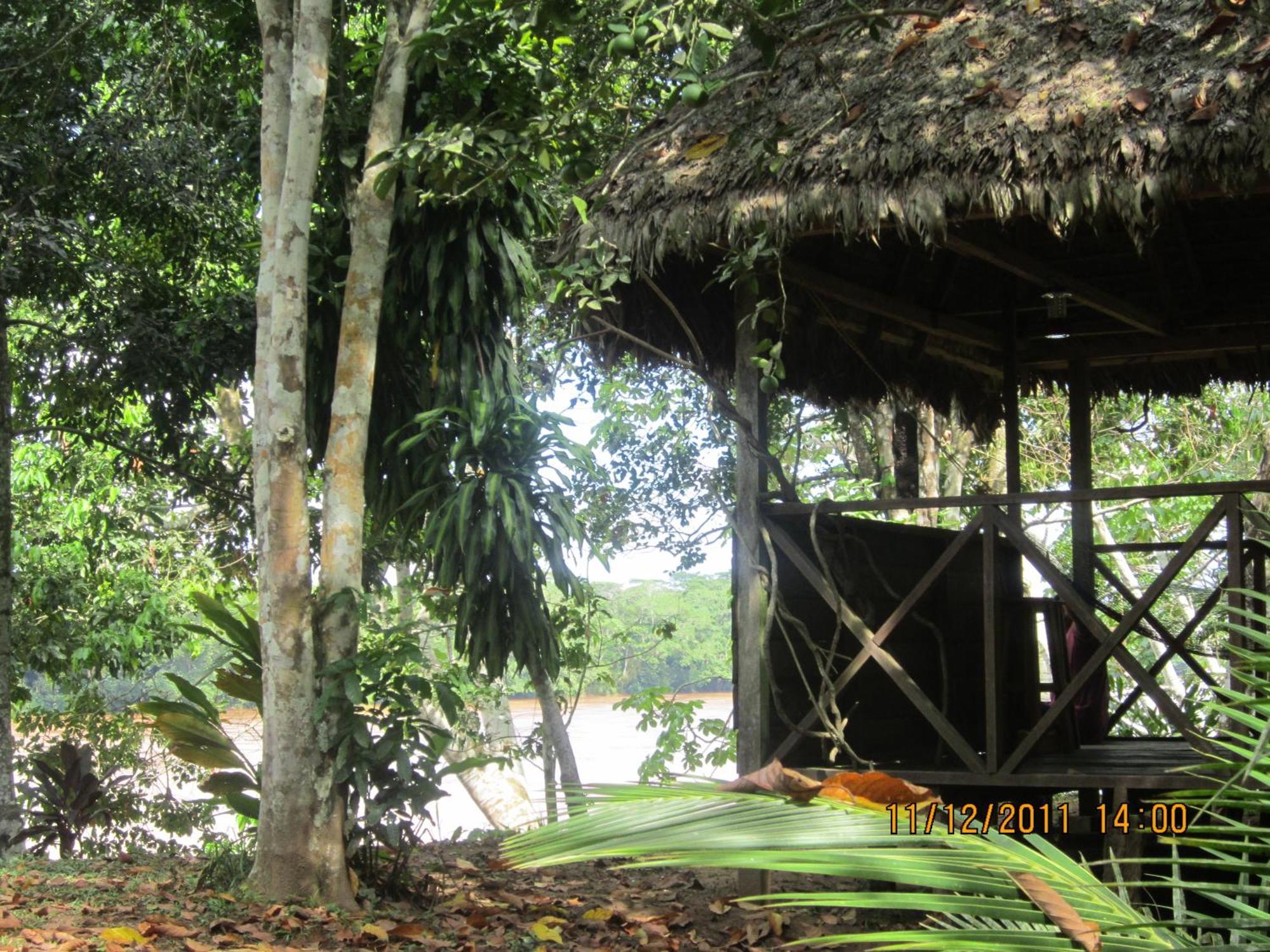 Tambopata River Puerto Maldonado Kültér fotó