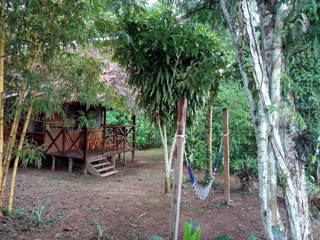 Tambopata River Puerto Maldonado Kültér fotó