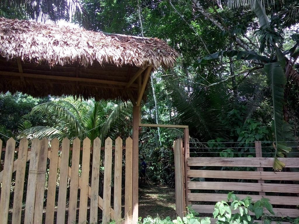 Tambopata River Puerto Maldonado Kültér fotó