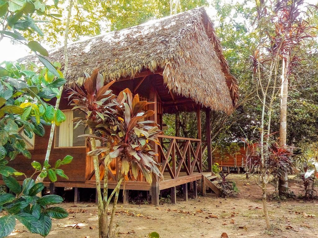 Tambopata River Puerto Maldonado Kültér fotó