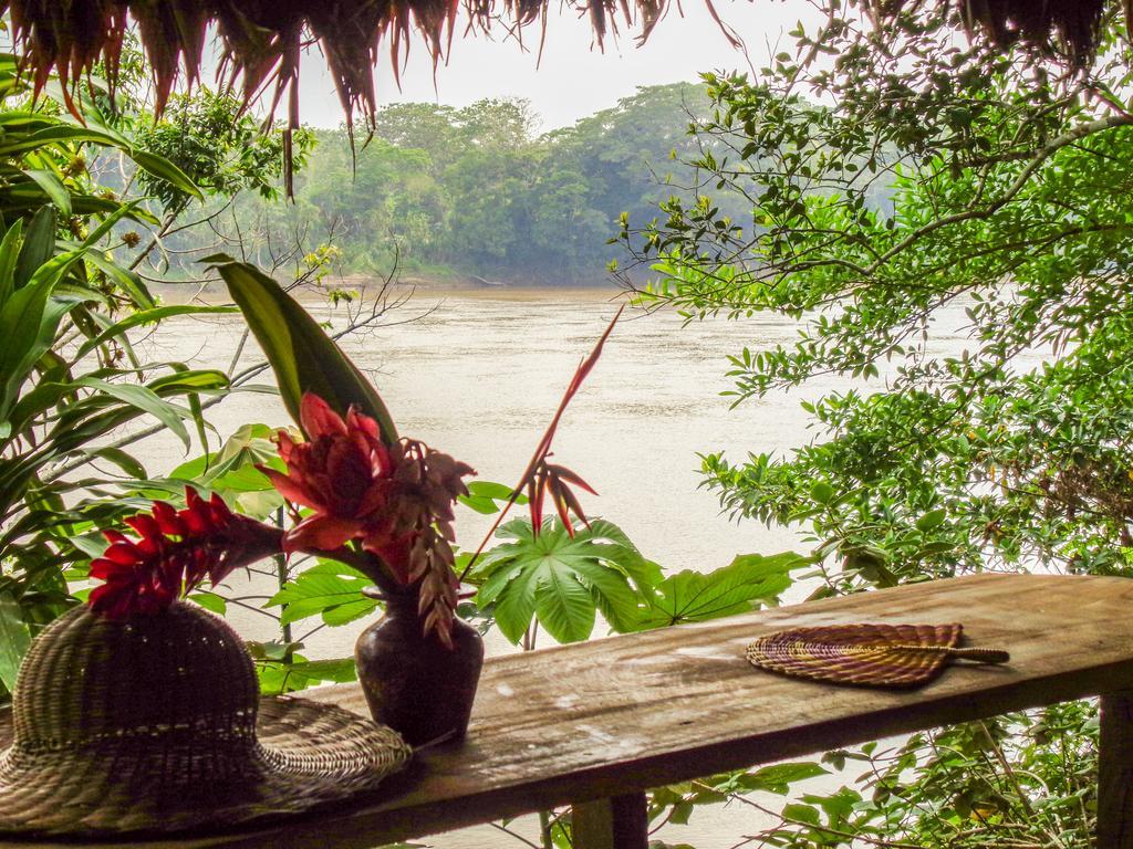 Tambopata River Puerto Maldonado Kültér fotó