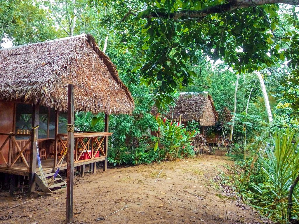 Tambopata River Puerto Maldonado Kültér fotó