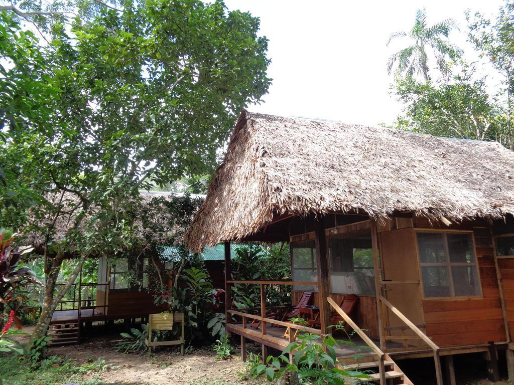 Tambopata River Puerto Maldonado Kültér fotó