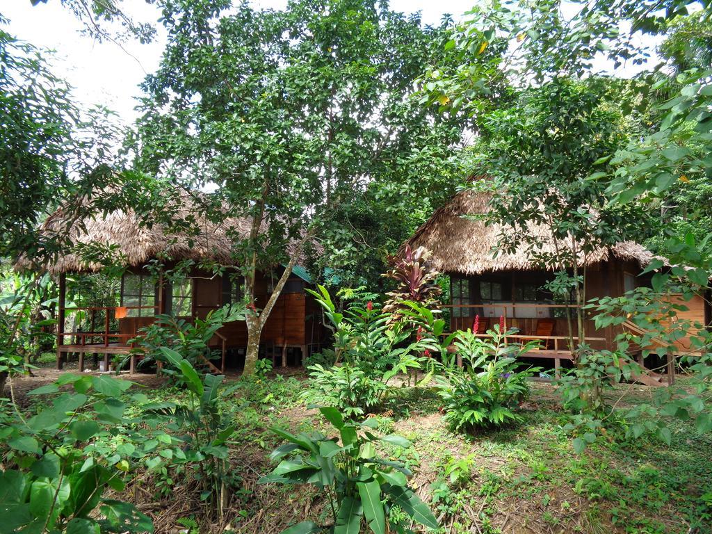 Tambopata River Puerto Maldonado Kültér fotó