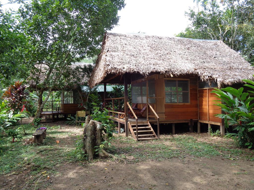 Tambopata River Puerto Maldonado Kültér fotó