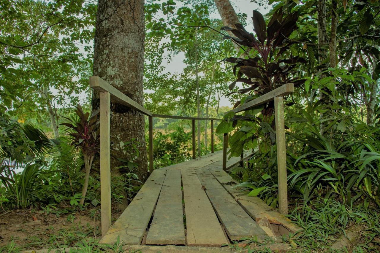 Tambopata River Puerto Maldonado Kültér fotó
