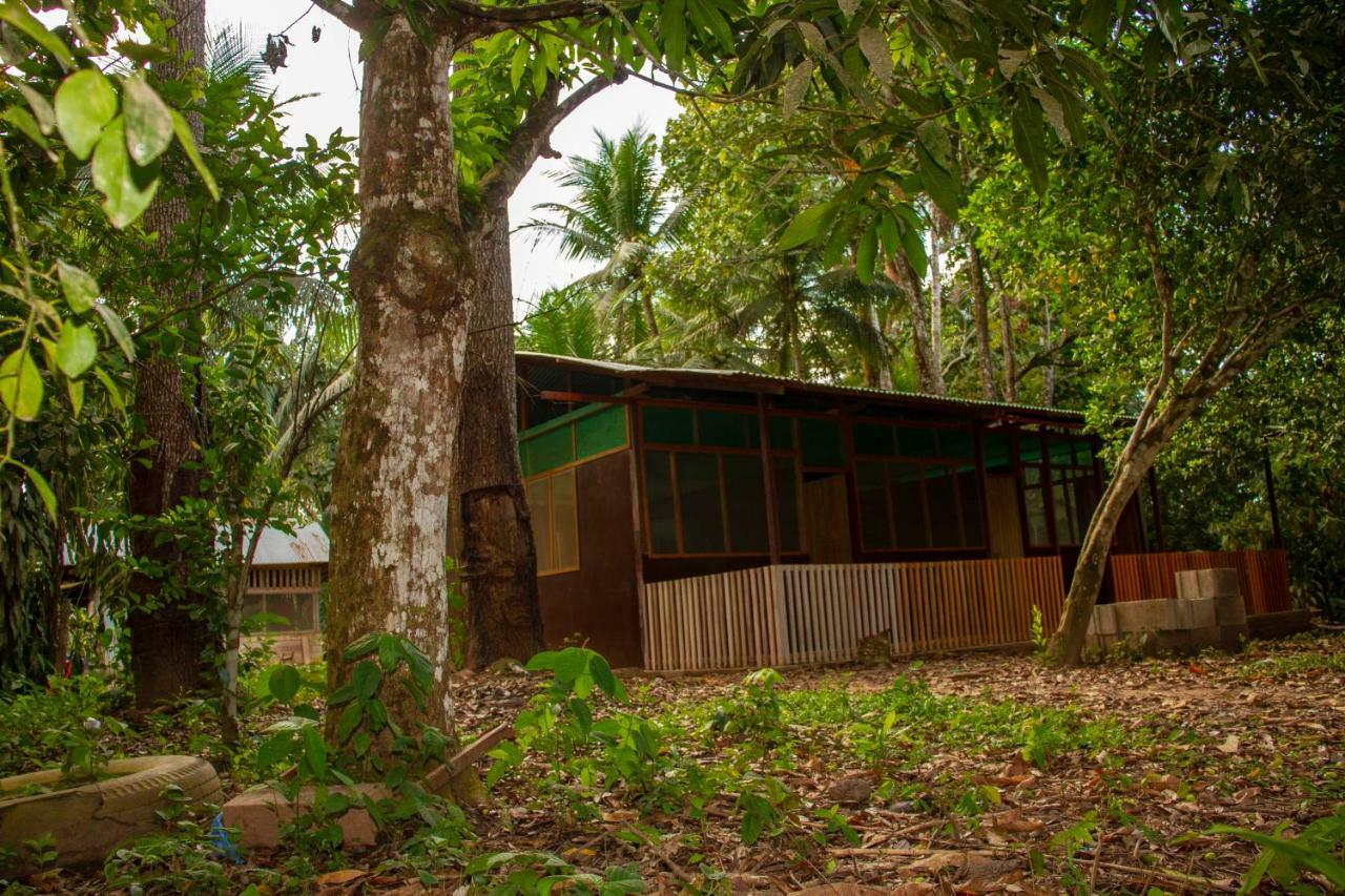 Tambopata River Puerto Maldonado Kültér fotó
