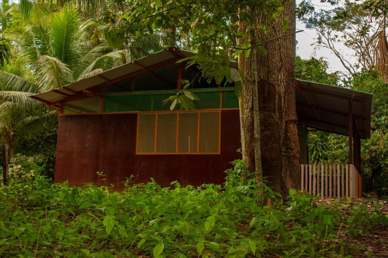 Tambopata River Puerto Maldonado Kültér fotó